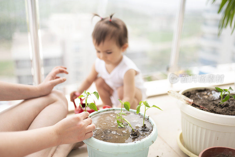 年轻的妈妈和她可爱的小女儿在自家阳台上种花