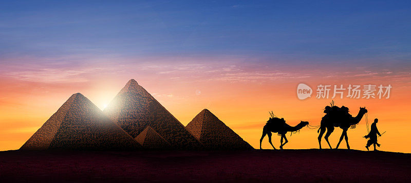 美丽的日落时分，埃及金字塔前的骆驼商队