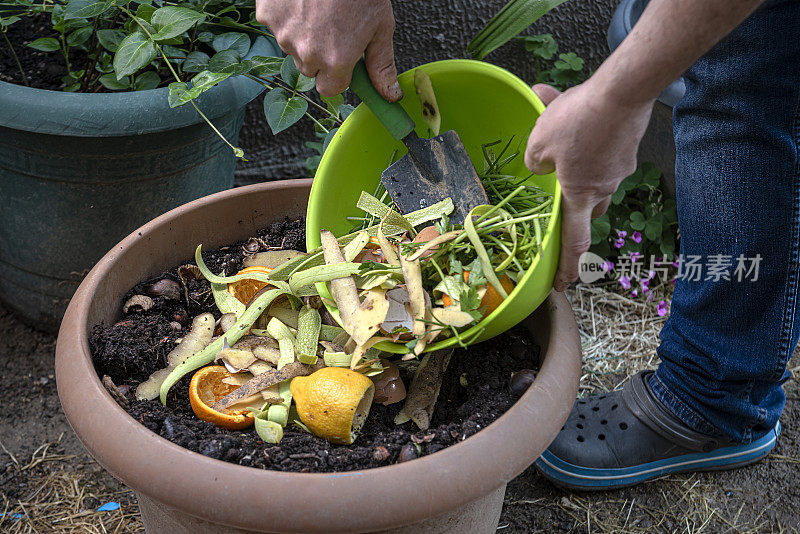 用菜园里的水果、蔬菜和蛋壳制作堆肥。