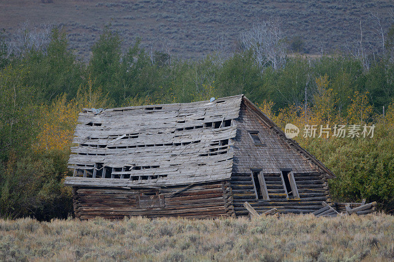 美国西部破旧的木屋