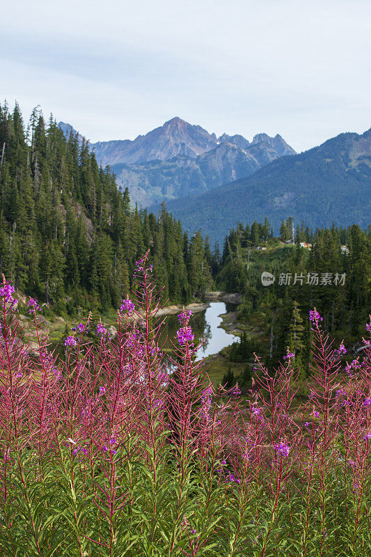 贝克山休闲区希瑟草地的风景