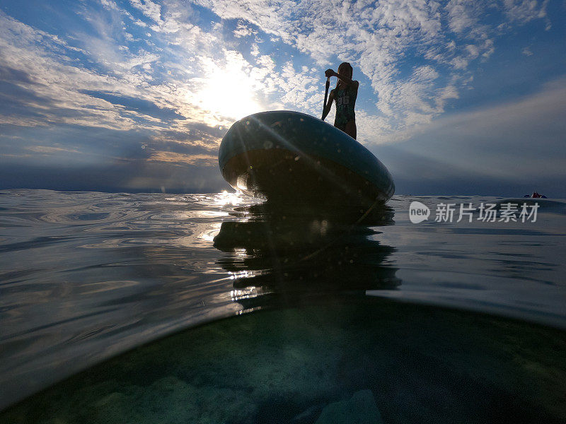 低角度视图轮廓的一个女孩划桨桨板在海上在日落
