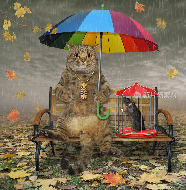 秋天公园里，猫坐在伞下的长椅上