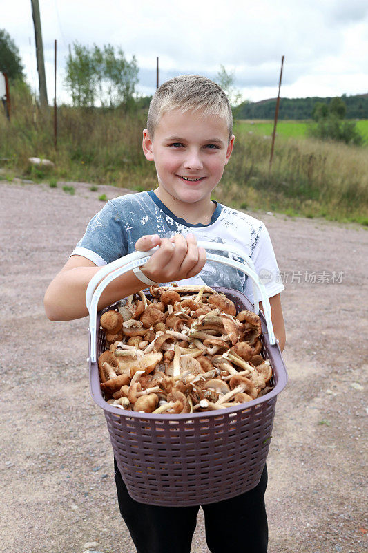 孩子拿着一篮蜂蜜蘑菇