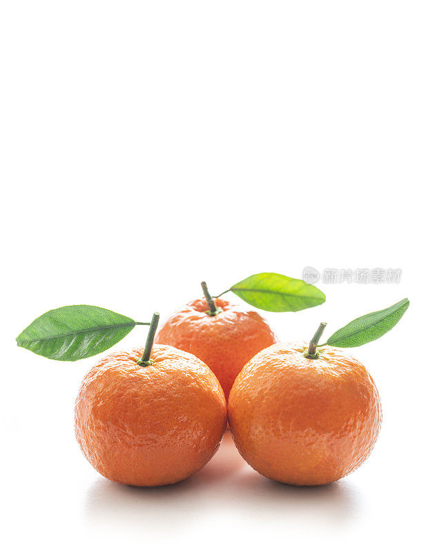 柑桔属柑橘类水果，叶片与孤立的o