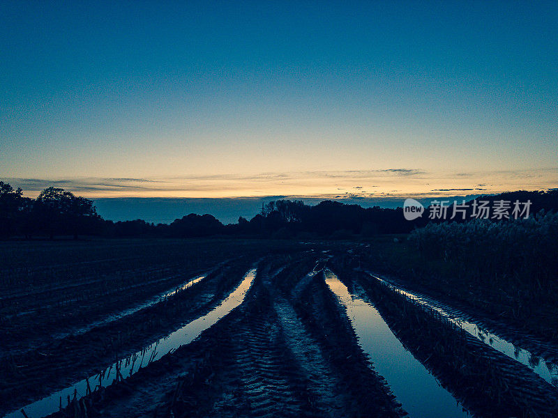 雨后的一片田地，到处是水和拖拉机的足迹。