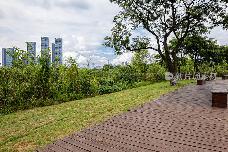 公园的木制走道和城市天际线背景