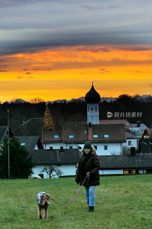 2021年圣诞节前夕。清晨日出时，与爱美犬一起散步。巴伐利亚,德国。