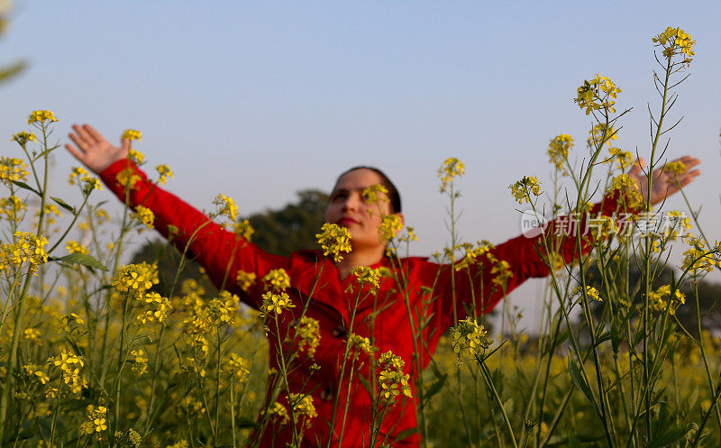 在春天，漂亮的女人站在芥末田里的肖像