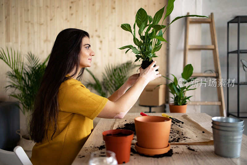 侧面的一个年轻的白人妇女照顾她的植物在家里