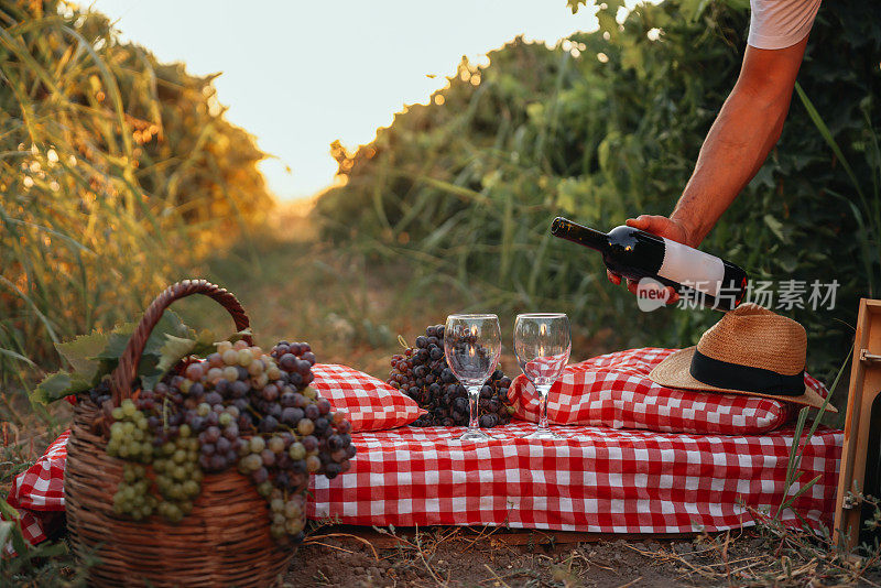 瓶和酒杯与葡萄在农村的场景