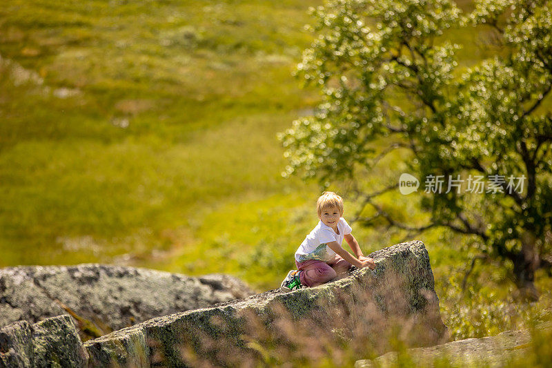 人们、孩子们在挪威欣赏峡湾、山脉和其他美丽的自然景观