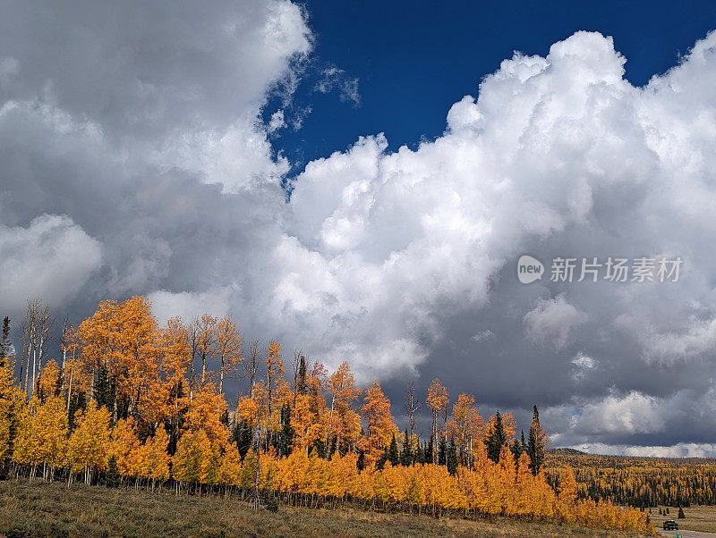 US-14的秋天色彩从雪松山到雪松破碎国家纪念碑和纳瓦霍湖犹他州