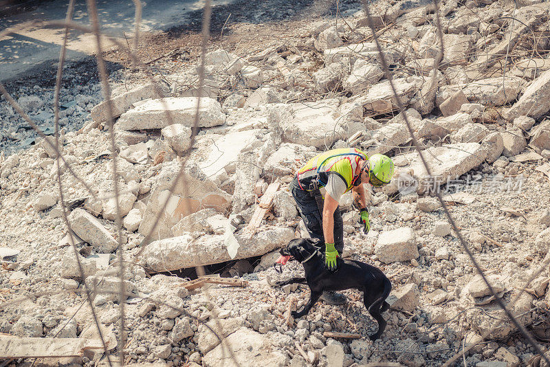 救援人员在搜救犬的帮助下进行搜索