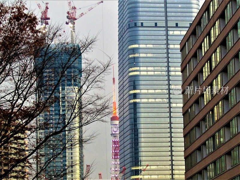 日本。12月。东京的日落。摩天大楼和隐藏的东京塔。