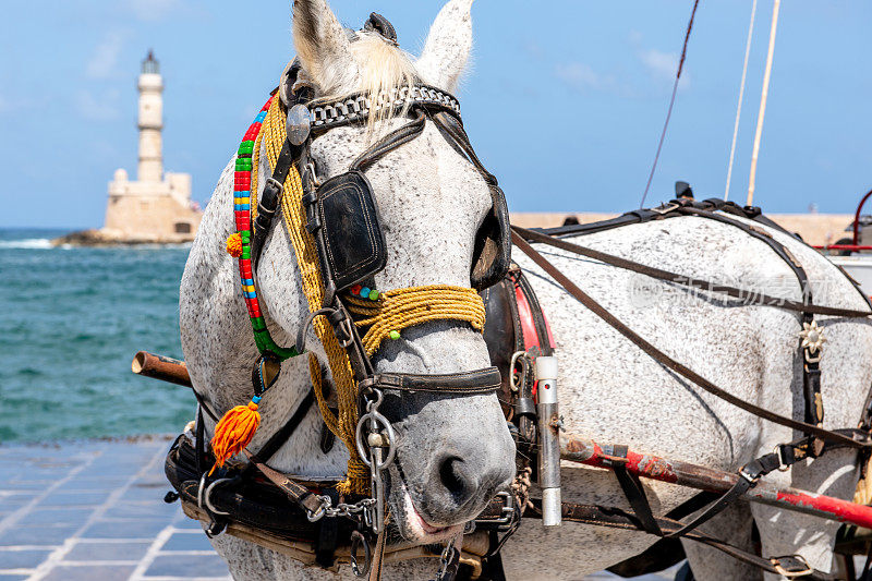 在希腊城市哈尼亚的港口，一辆为游客准备的马车