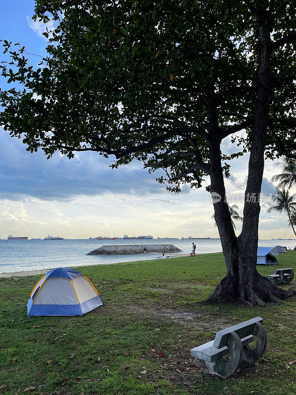 新加坡东海岸公园海滨露营地，一个人在树枝下的混凝土长凳上搭起圆顶帐篷，多云晴朗的蓝天