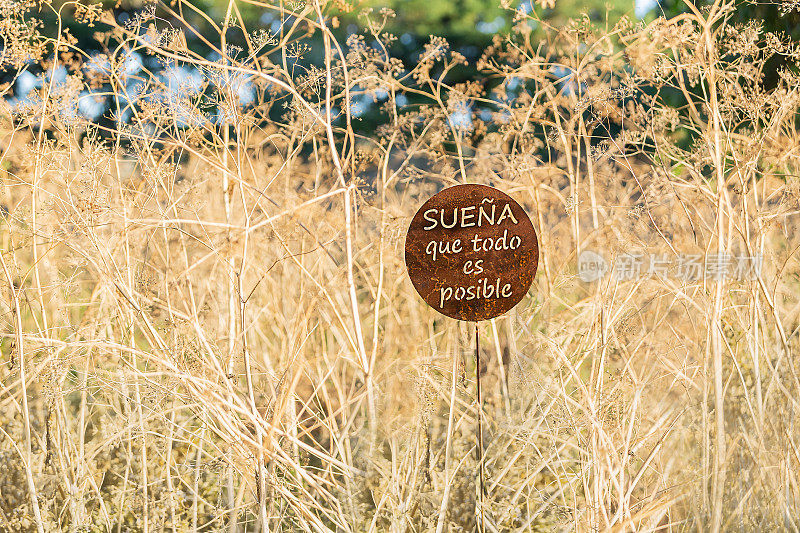 西班牙语励志短语-装饰