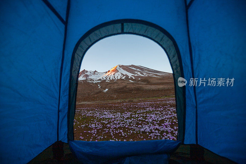 在山上露营