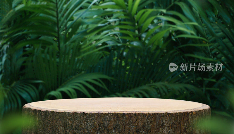 木质桌面平台地板在室外热带花园森林模糊绿色棕榈叶植物的自然背景。自然产品放置台架展示，丛林天堂概念。