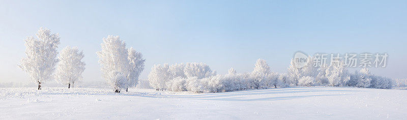 冬天美丽的全景，树上覆盖着白霜