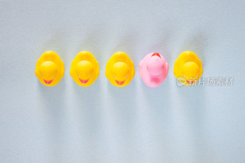 粉红色的橡皮鸭从普通的黄色鸭子中脱颖而出