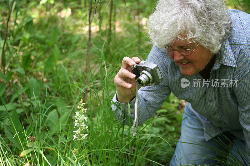 年长的白发女子在拍蝴蝶兰