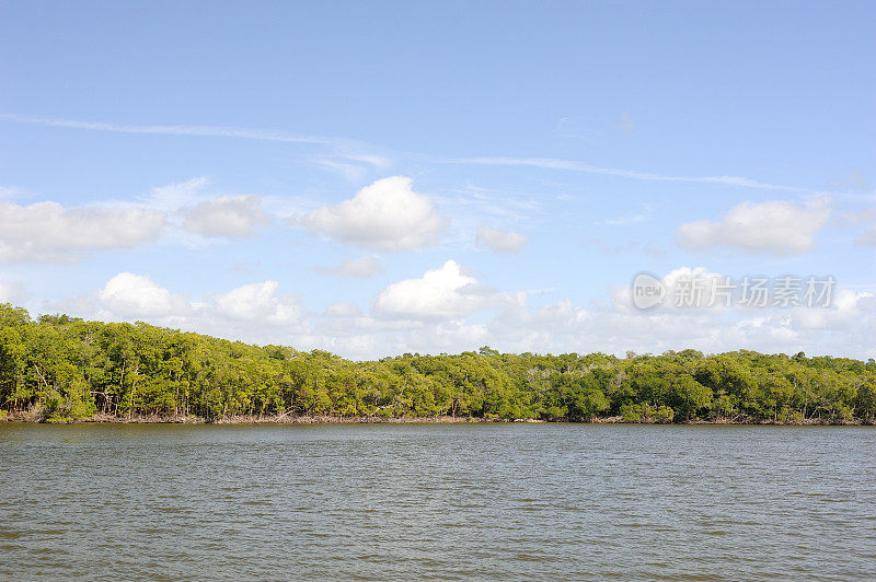 大沼泽地国家公园的千岛