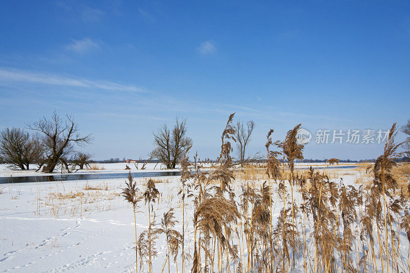 冬天的风景