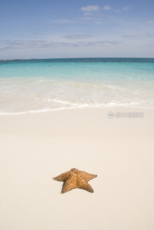 海滨度假胜地