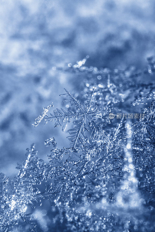 雪花堆起一团冰冷的蓝色