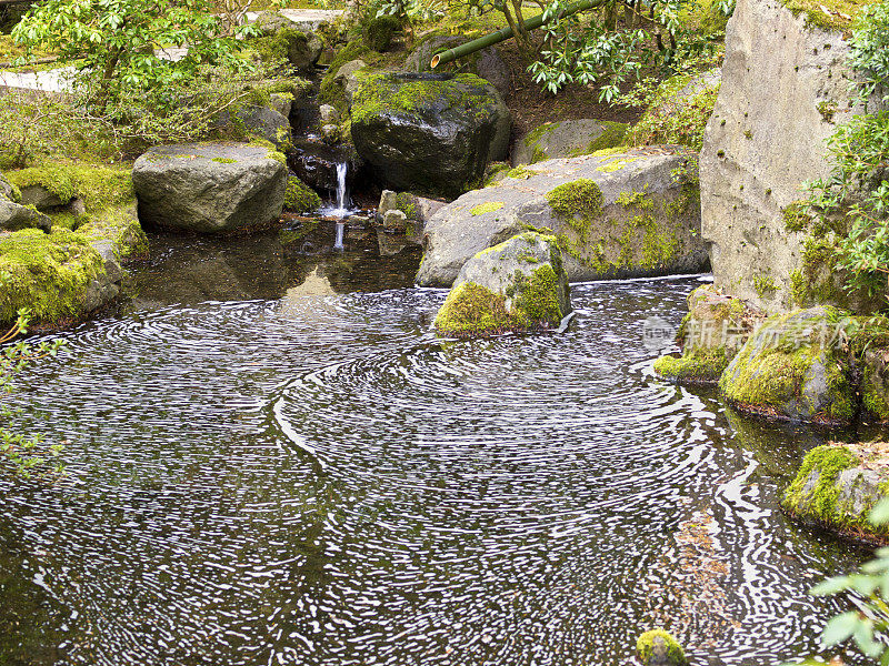 池塘水模式日本花园俄勒冈州波特兰