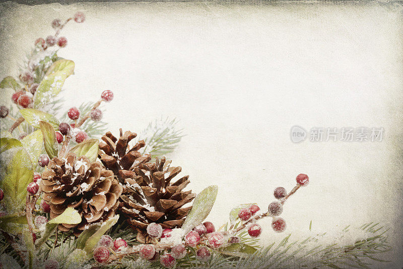 圣诞松枝边界框架纹理色调的背景