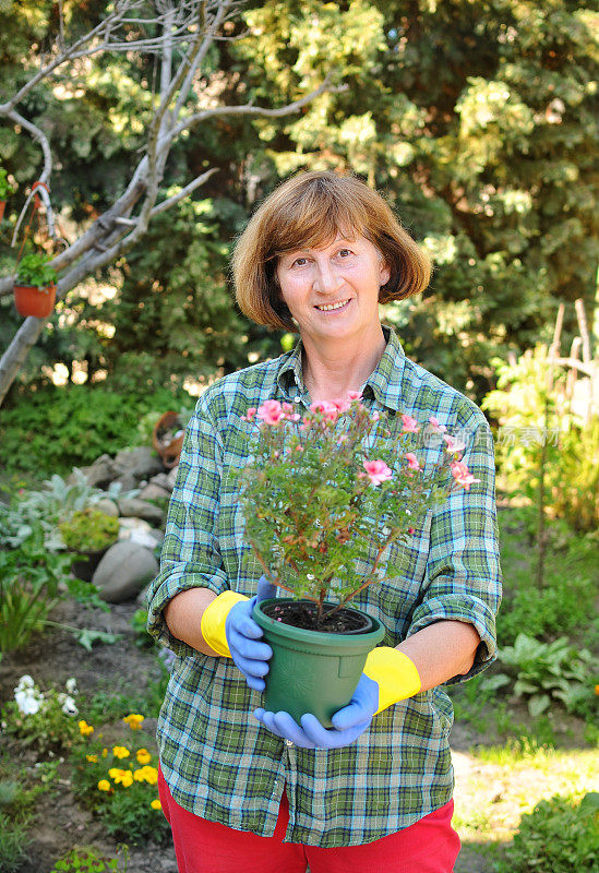 成熟的白人妇女园丁与花和植物在花园里