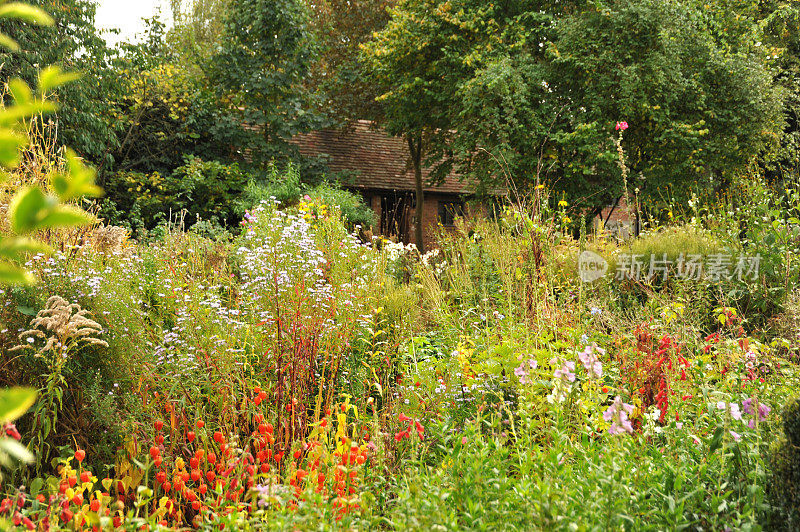 安妮·海瑟薇的小屋，英国埃文河畔斯特拉特福的野花花园