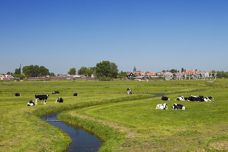 荷兰的乡村景观在一个晴朗的阳光明媚的日子