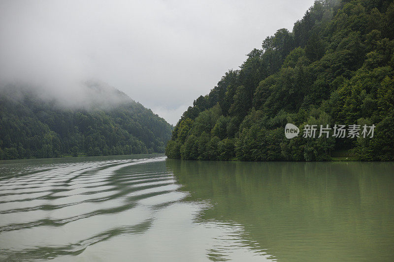 多瑙河在绿色的森林和浓雾之间