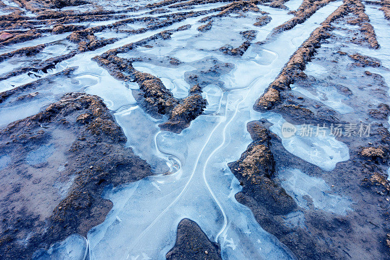 轮胎印在雪和泥上