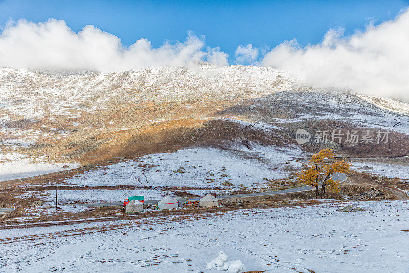 秋季景观靠近喀纳斯湖，新疆，中国