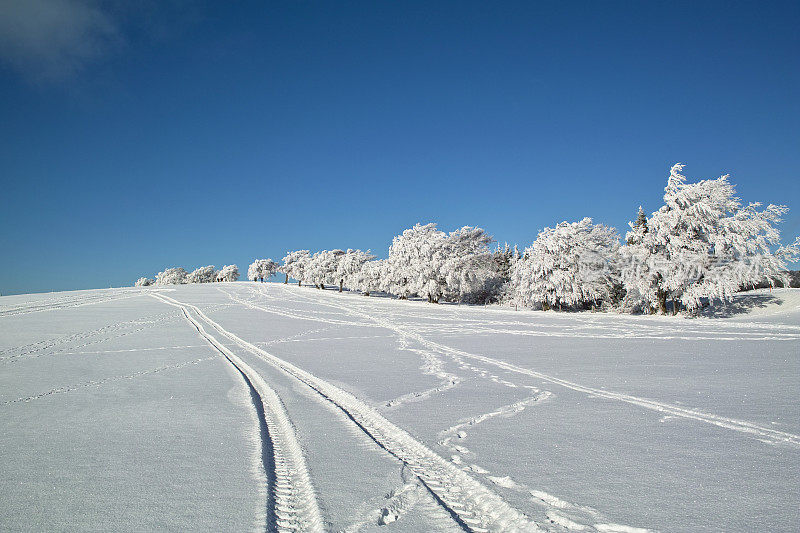 黑森林冬天的雪景