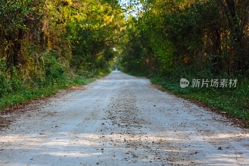 日落时分，大沼泽地国家公园的土路