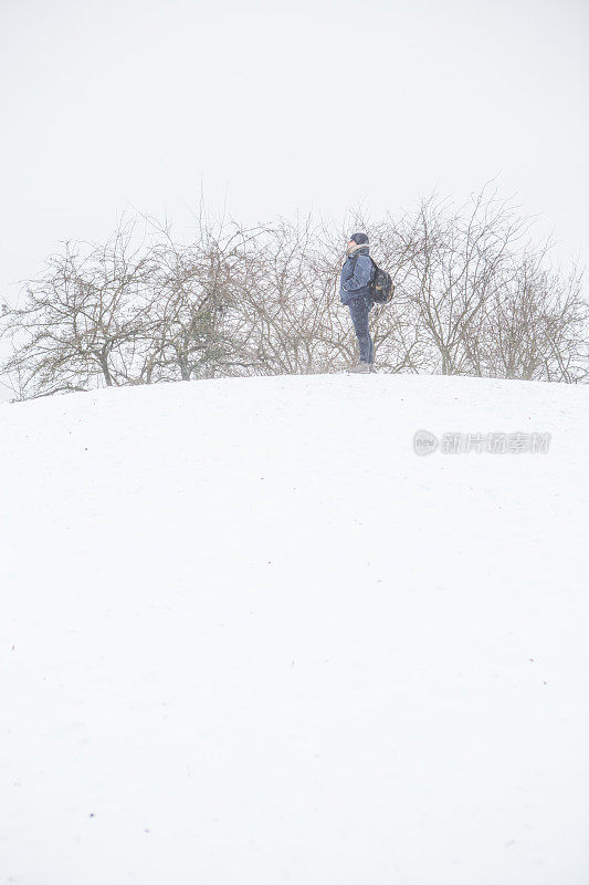 到达雪山时，女士观察了松树