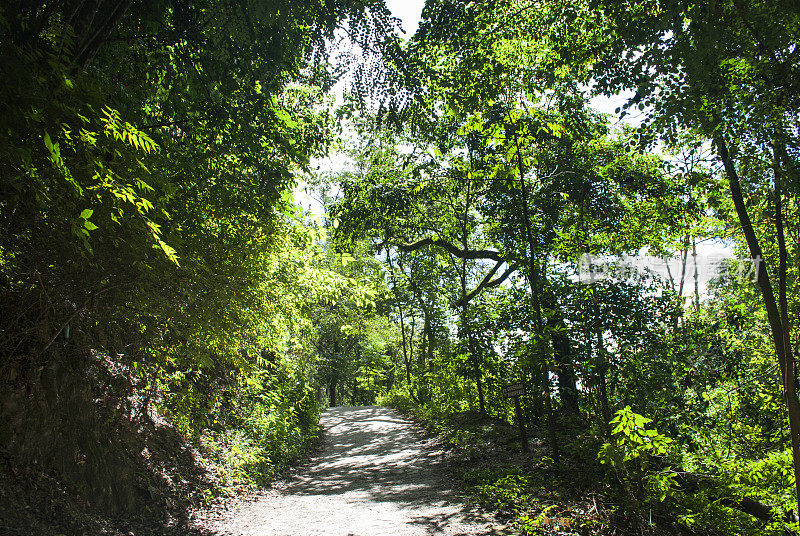 加拉加斯的阿维拉国家公园