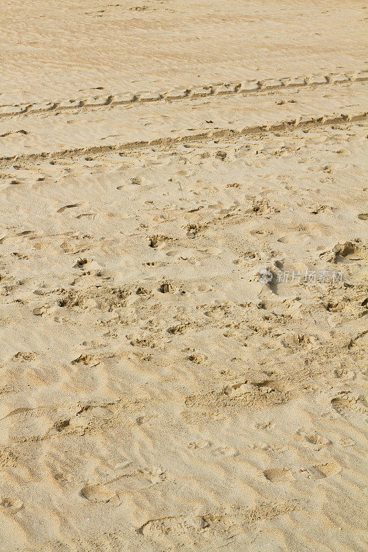 比利时海岸海滩和沙滩上有轮胎的脚印