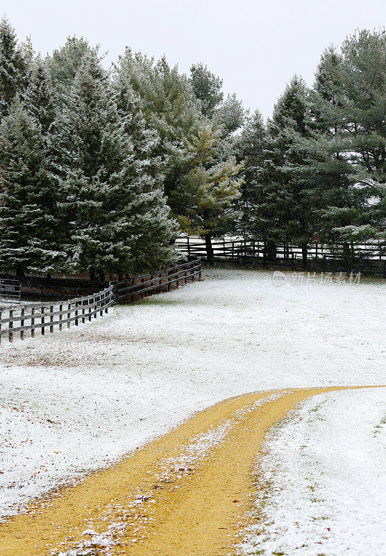 垂直的土路和松树与小雪