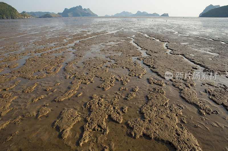 越南吉巴岛(下龙湾)的泥质滩