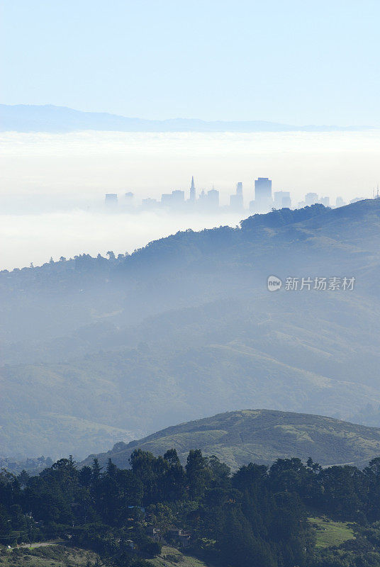 旧金山大雾