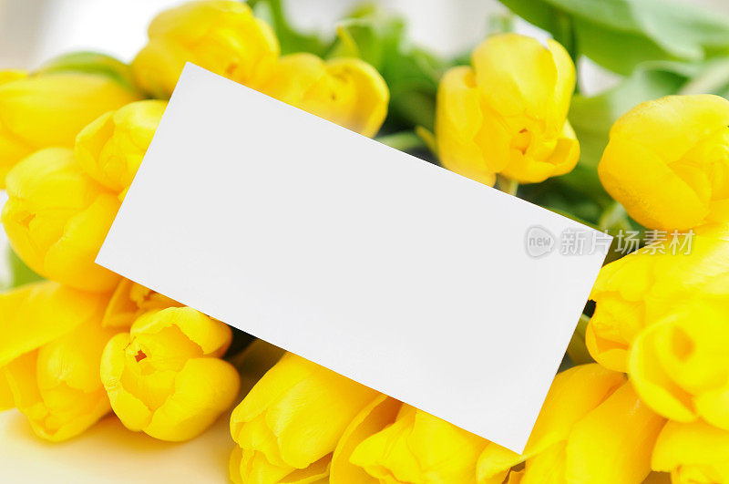 黄色的郁金香和贺卡