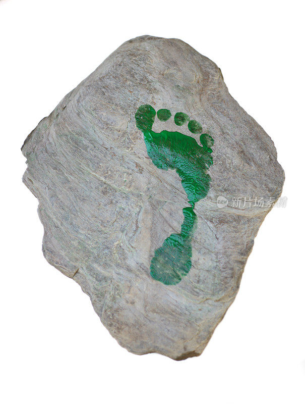 石头上的绿色足迹