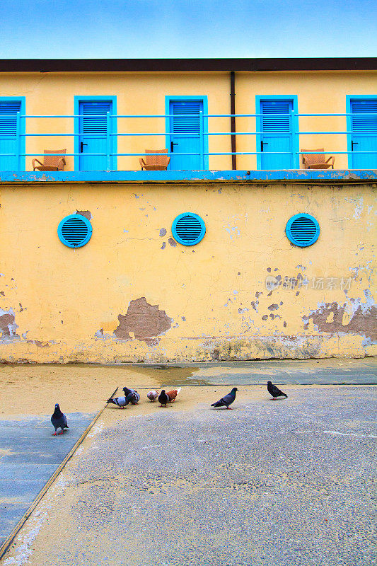 意大利Viareggio海滩附近五颜六色的更衣室，里面有鸽子